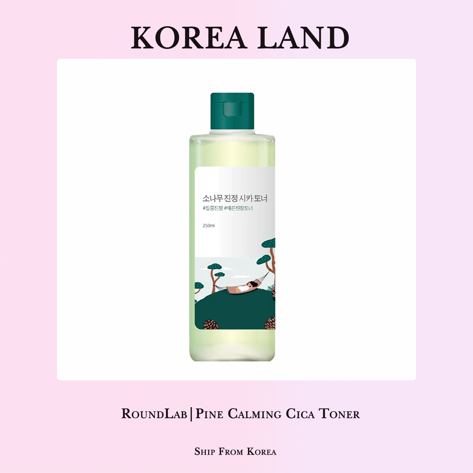 Roundlab | cây thông làm dịu cica Toner