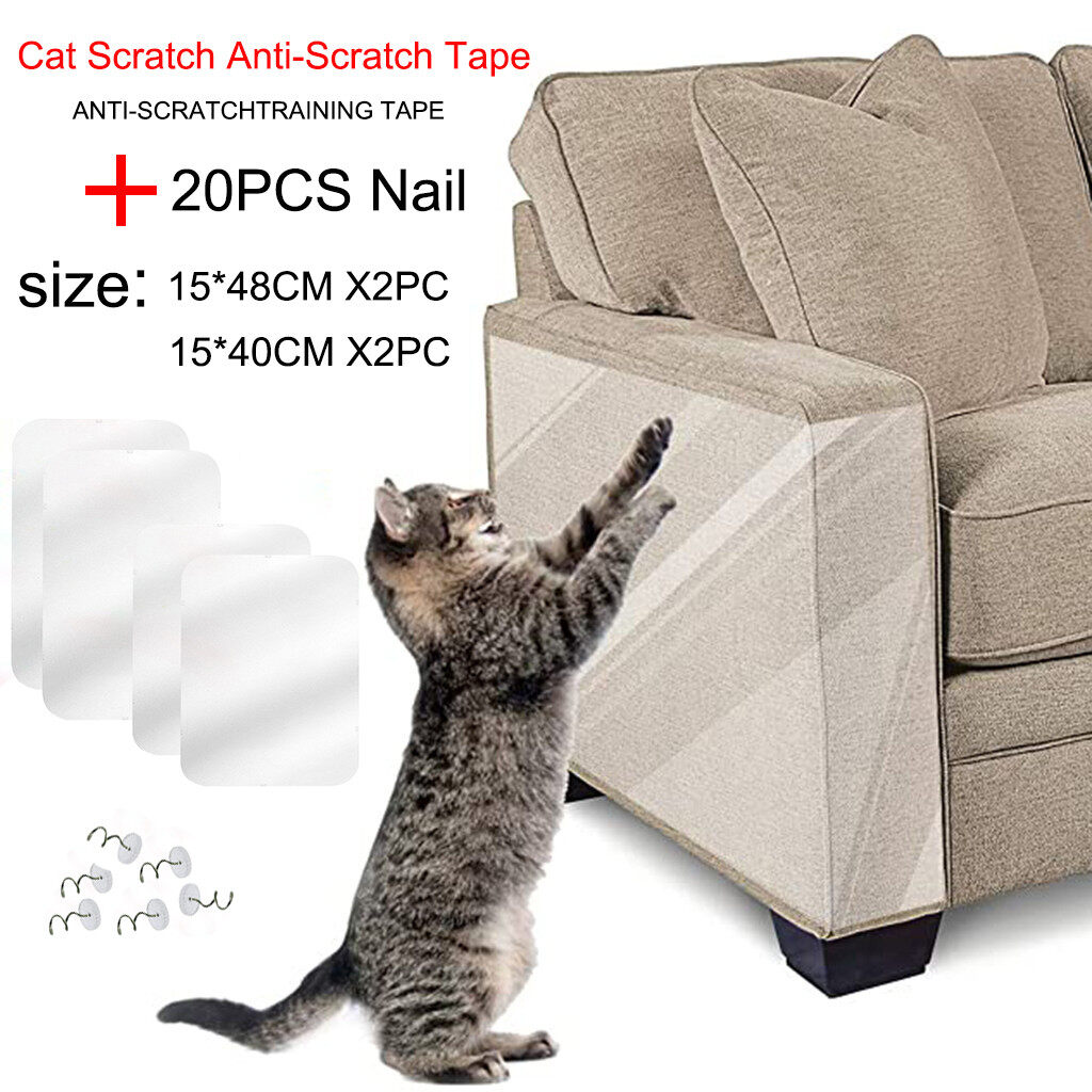 cat scratch free sofa