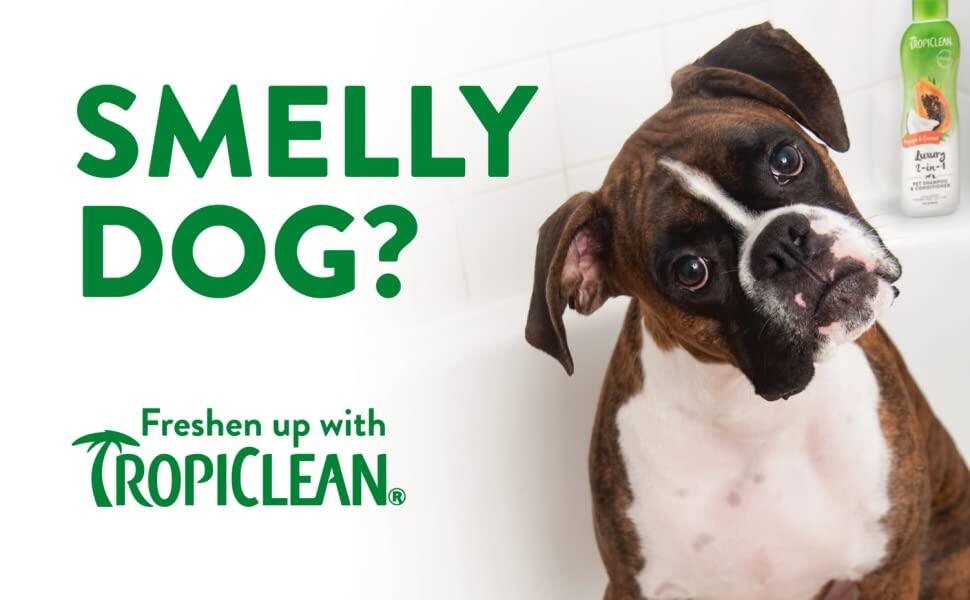 Smelly dog, freshen up with tropiclean