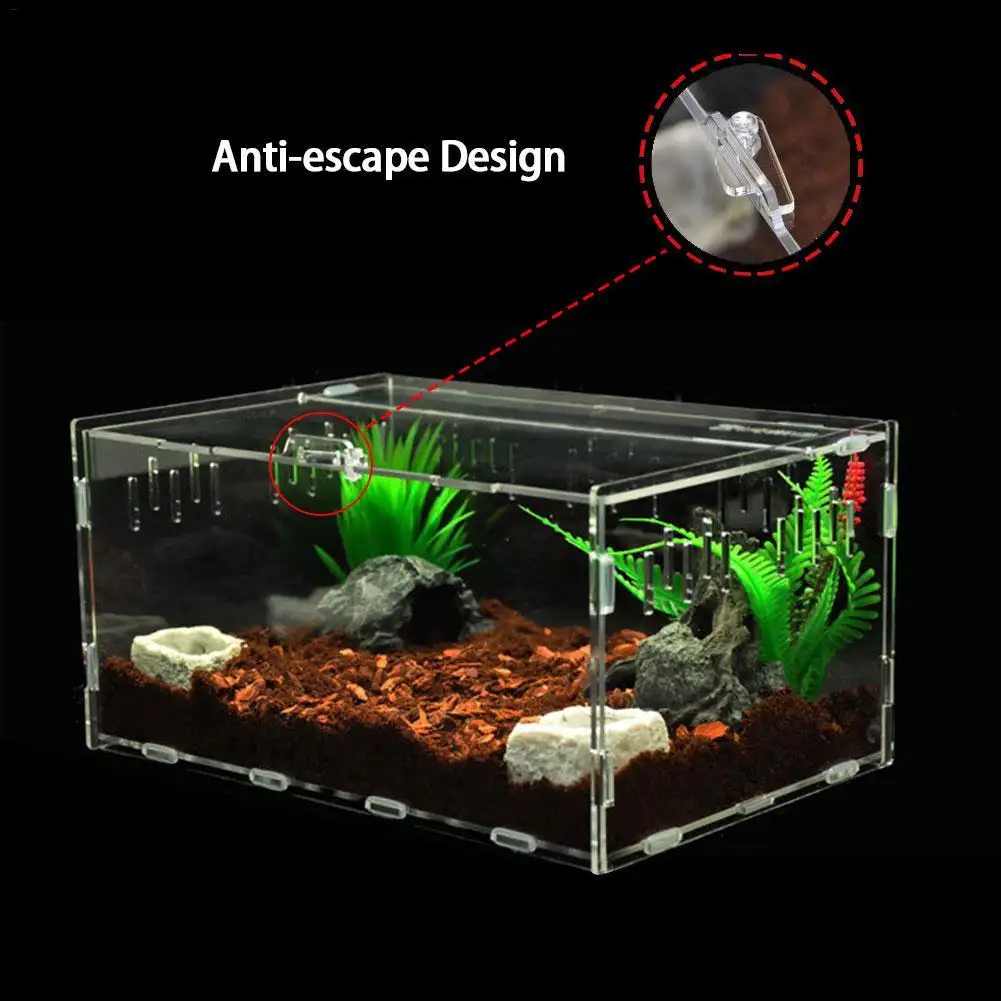 large reptile carrier