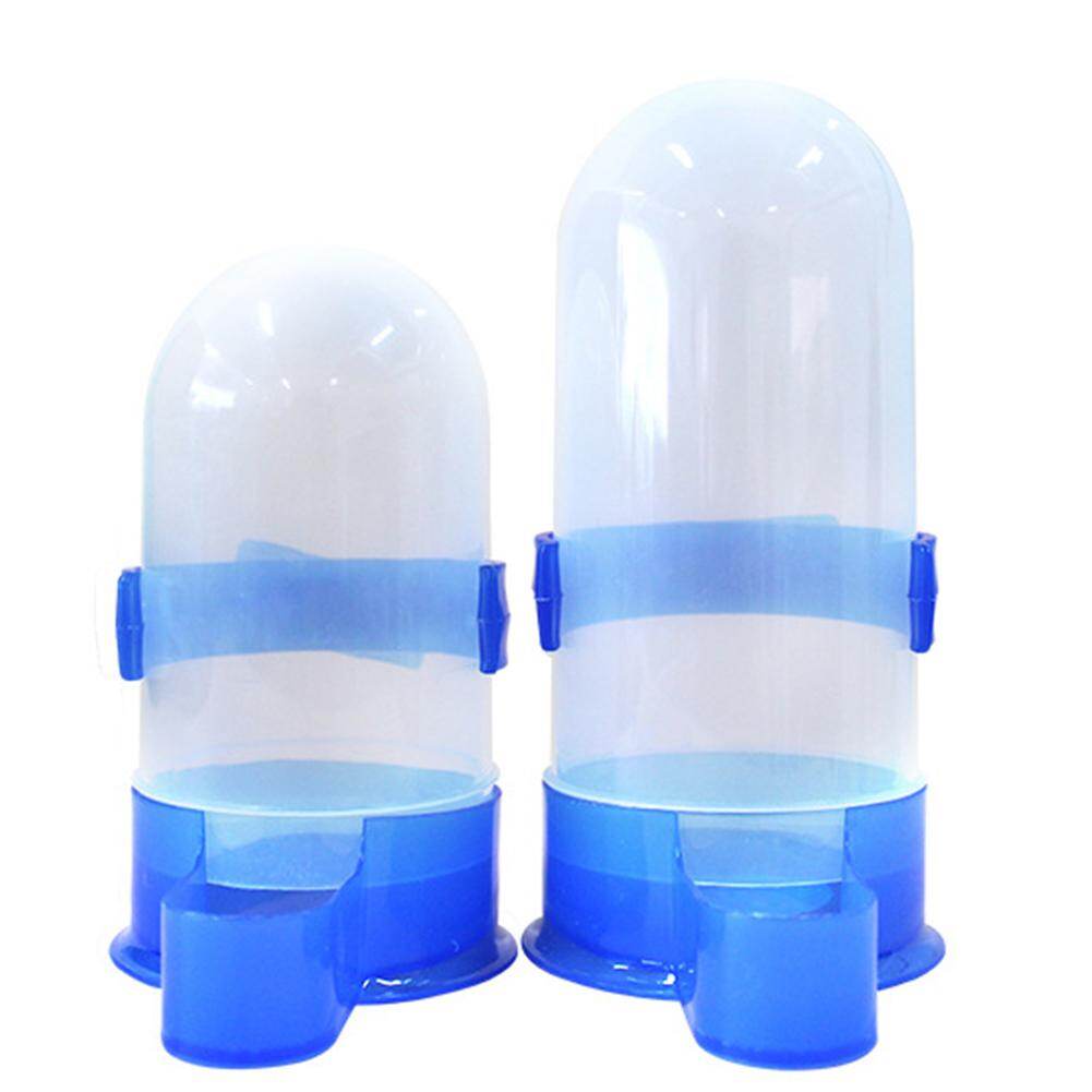 Pet Food Water Feeder For Mynah Grackle Pigeons Random Color
