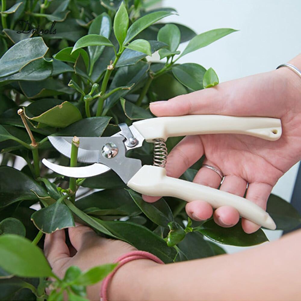 thép không gỉ vườn công cụ ghép công cụ trái cây cây kéo cắt tỉa bonsai 14
