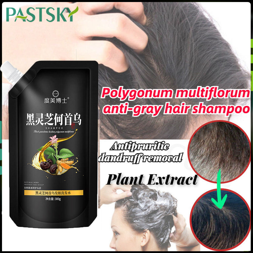 Đen Ganoderma polygonum multiflorum dầu gội dầu thực vật kiểm soát tóc đen chống Trắng Tóc chống gàu chống ngứa