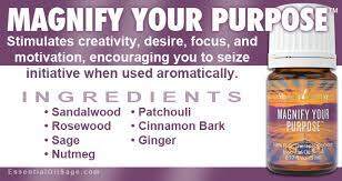 Young Living Magnify Your Purpose Essential Oil 5ml | Lazada