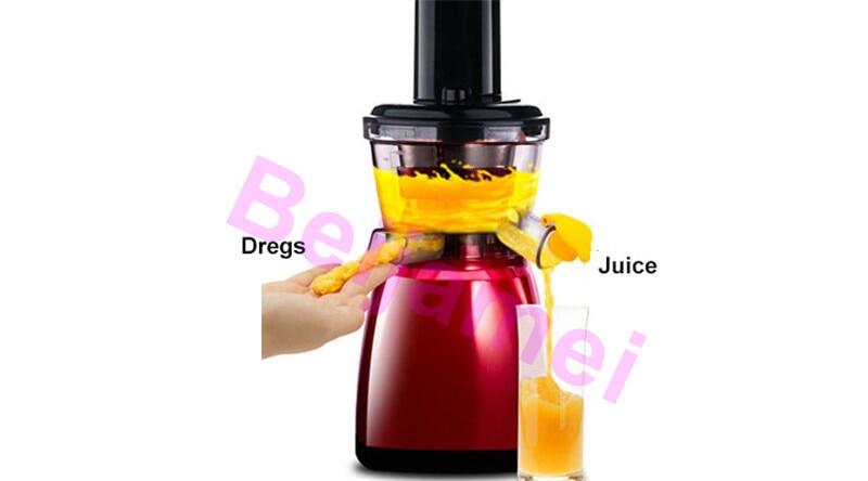 fruit juicer sale