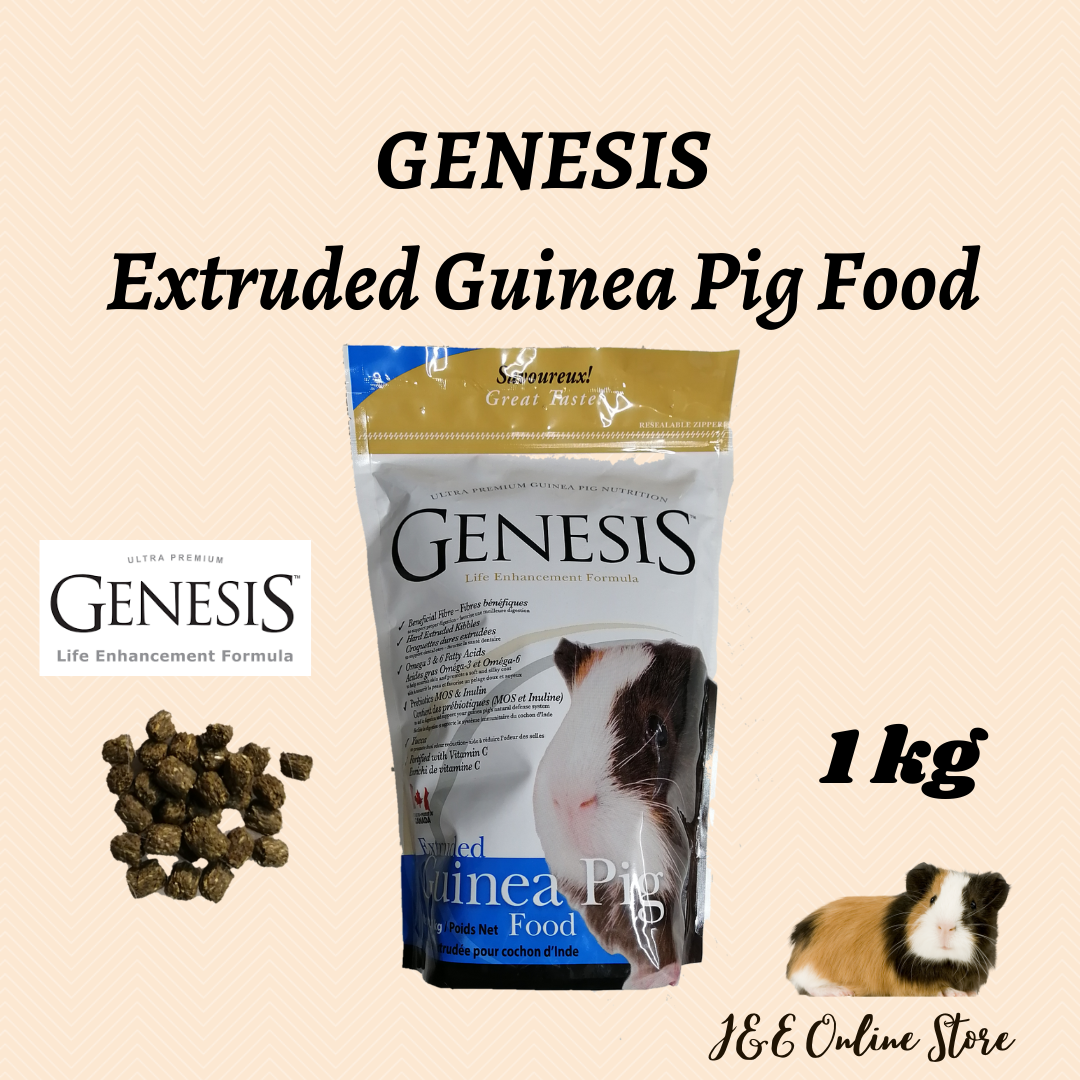 genesis guinea pig