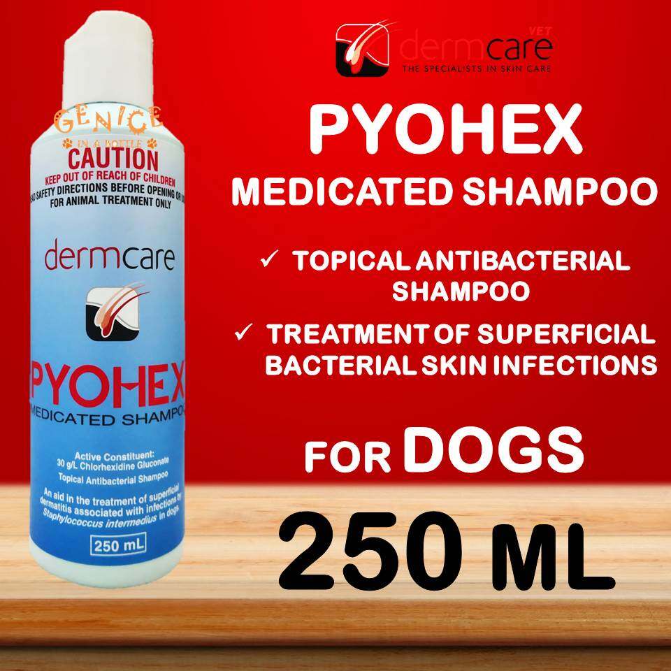 Dermcare pyohex medicated clearance shampoo