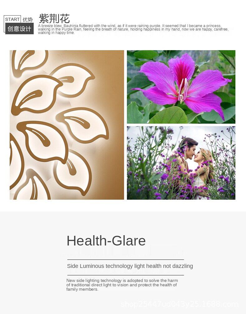 紫荆花详情页。_02.jpg