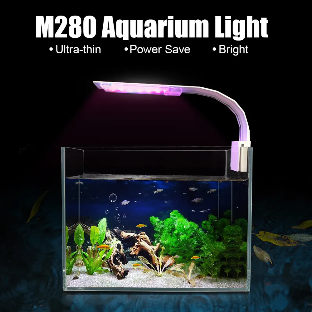 best comb for ragdoll cat