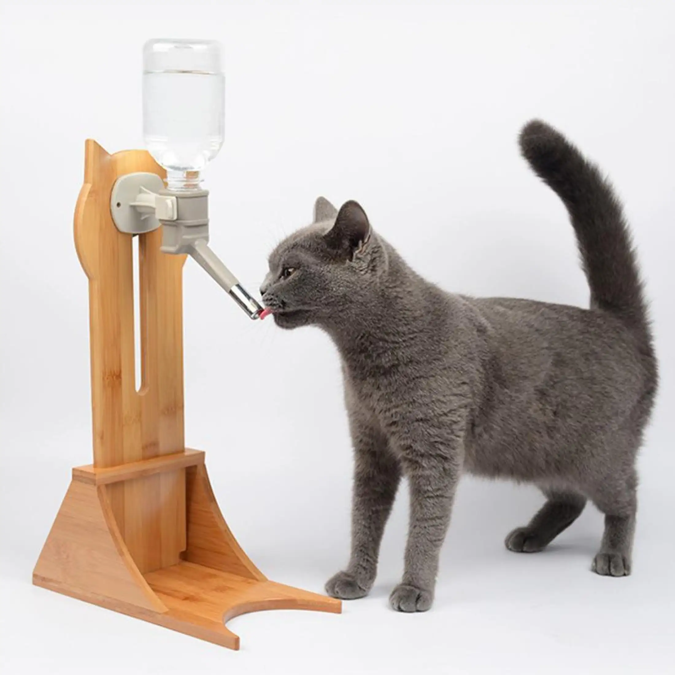 cat water bottle holder