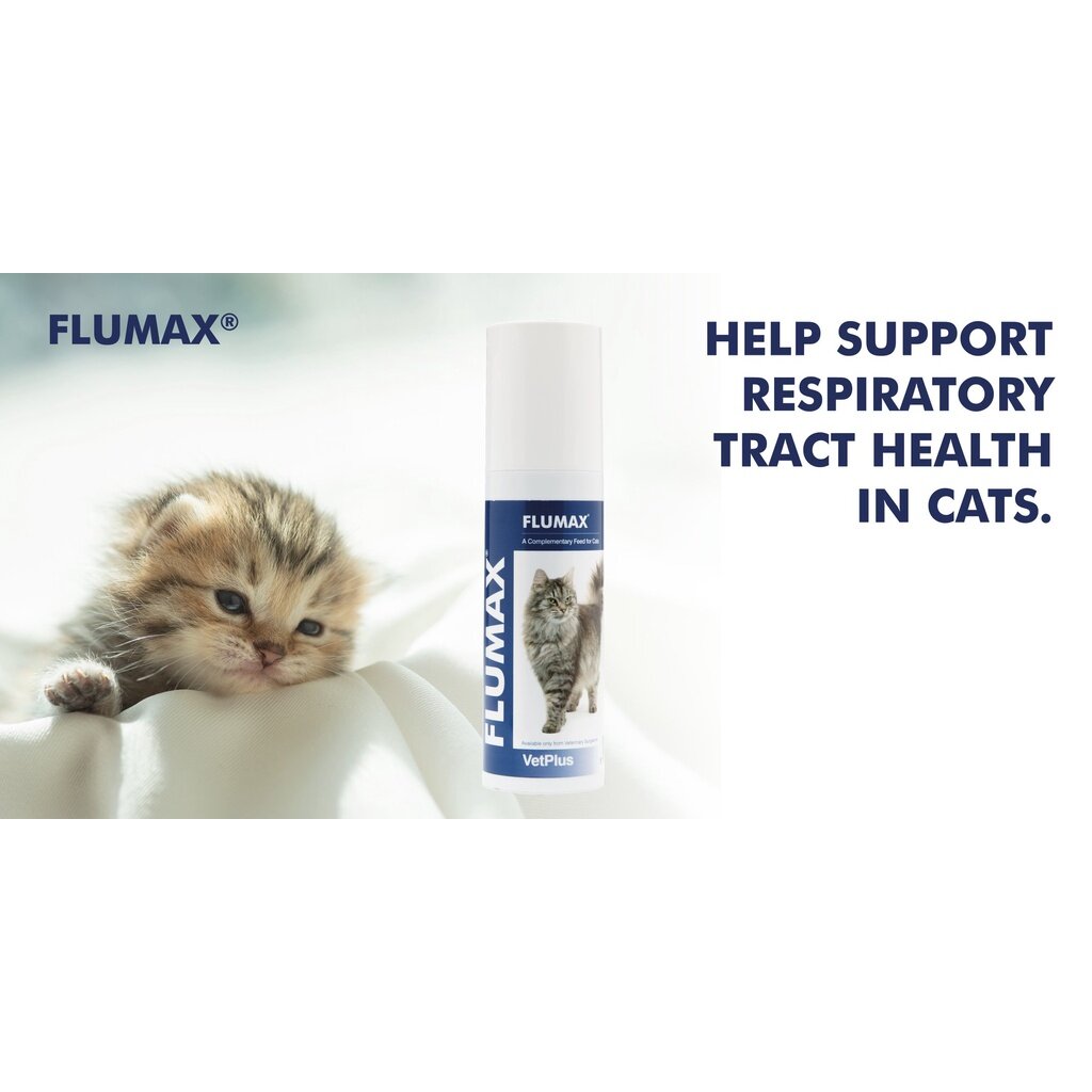 VetPlus Flumax Supplement Cat Flu Prevention Respiratory Tract Care