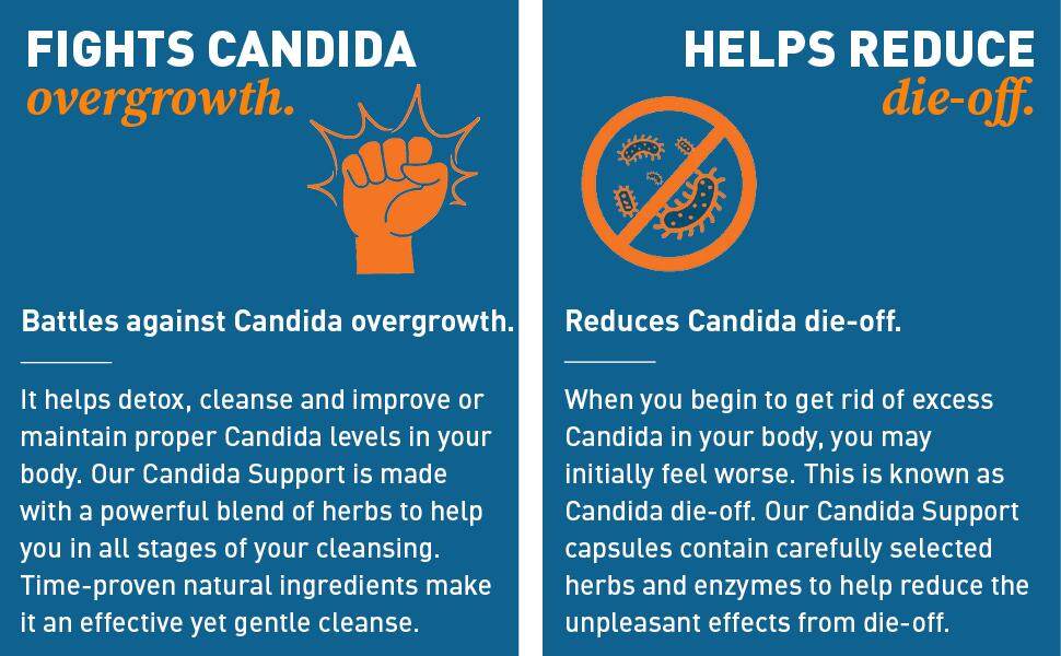 dr tobias, candida support, candida, candida supplement, dr tobais candida, supplement, detox