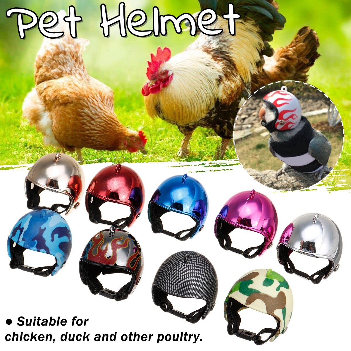 Mũ Bảo Hiểm Gà Cho Thú Cưng Nhỏ Mũ Cứng Chim Vịt Hat Pet Nguồn Cung Cấp 4