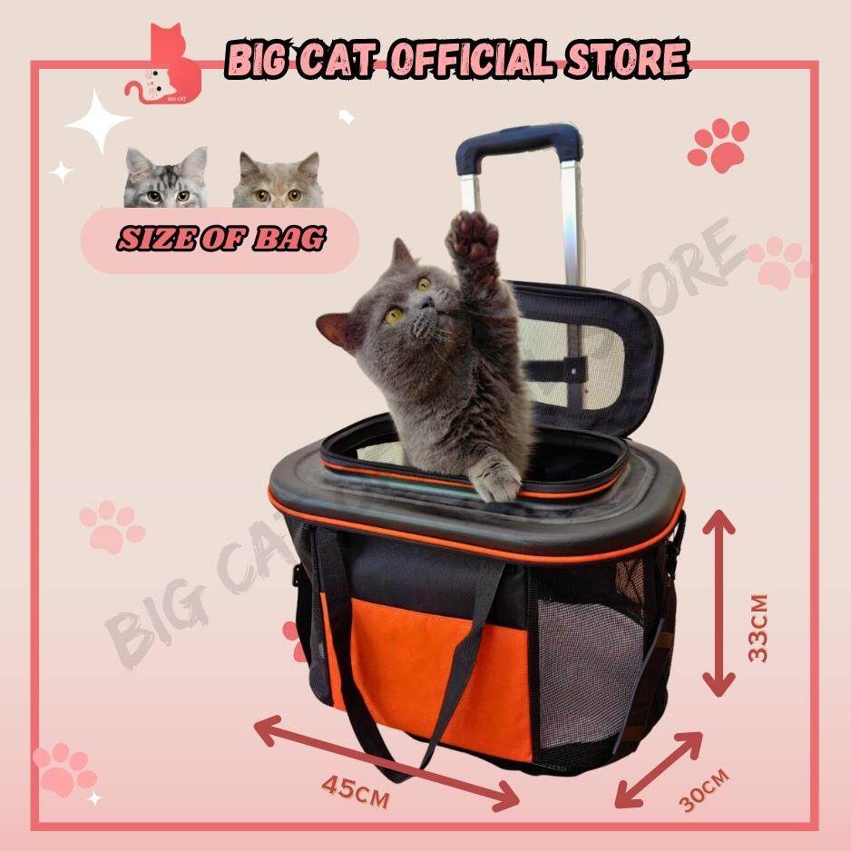 Cat travel bag Cat Bag Carrier pet travel bag pet bag trolley cat travel carrier Lazada