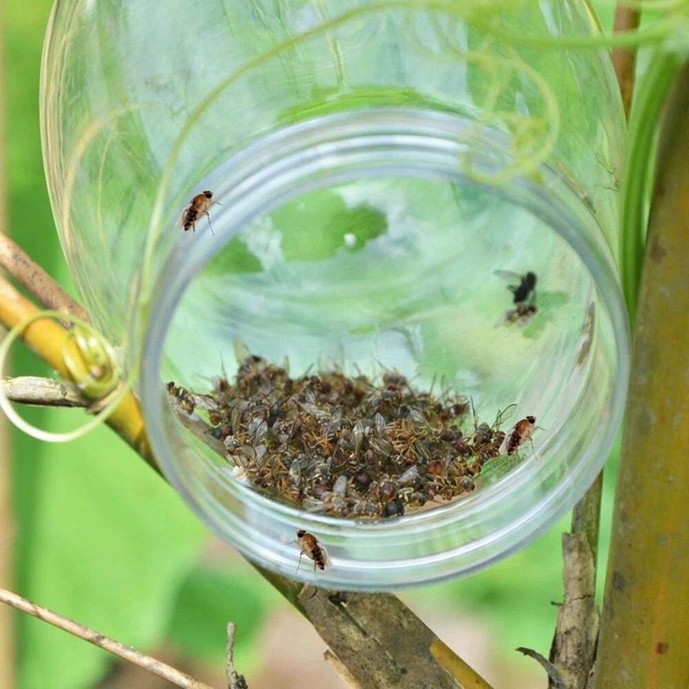 Wasp-Trap-Fruit-Fly-Flies-Insect-Fly-Catcher-Reusable-Hanging-Honey-Trap-Catcher-No-Poison-Trap.jpg_Q90.jpg_.webp.jpg