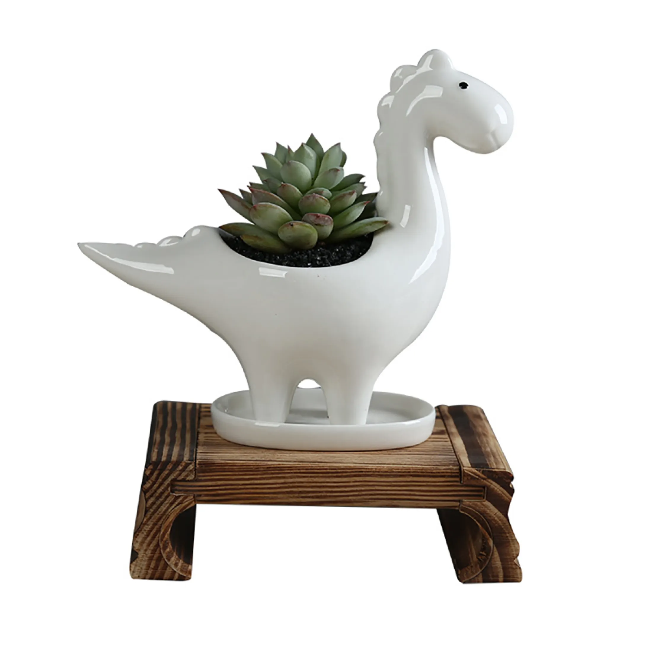 2pcs Dinosaur Succulent Plant Pot Ceramic Flower Pot Animal Shaped Planter With Drainage Tray Lazada Singapore