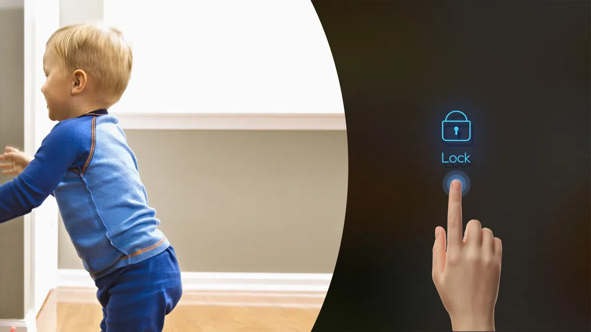 88770b0dc4aafe9b2ece49271ff74278