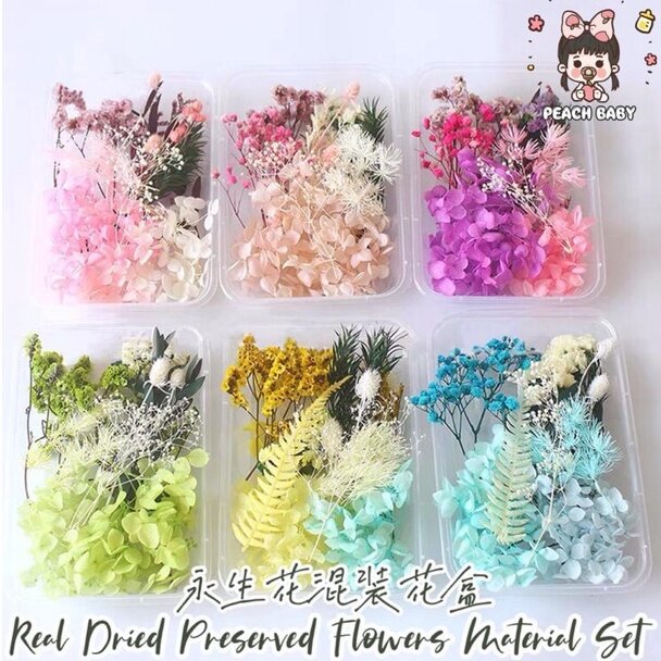 Dried Flower Suppliers South Africa Best Flower Site