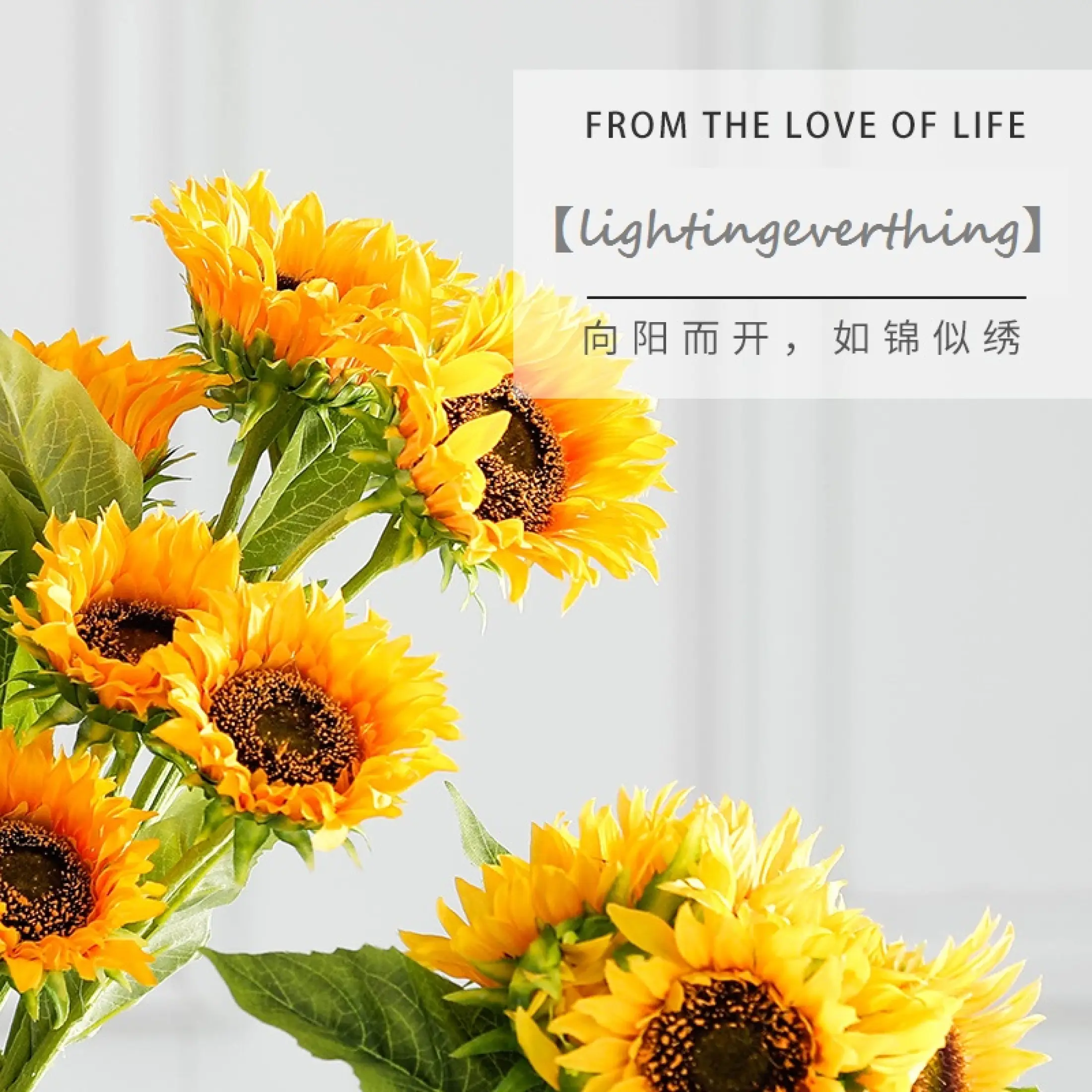 Tanaman Palsu Bunga Matahari Hiasan Tumbuhan Plastik Untuk Pesta Rumah Tangga Ornamen Bunga Matahari Tanaman Simulasi Lazada Indonesia