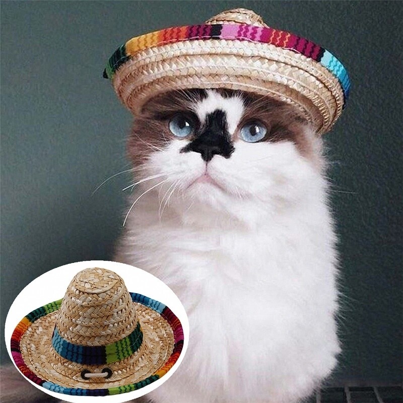 Mexican hat for clearance dogs