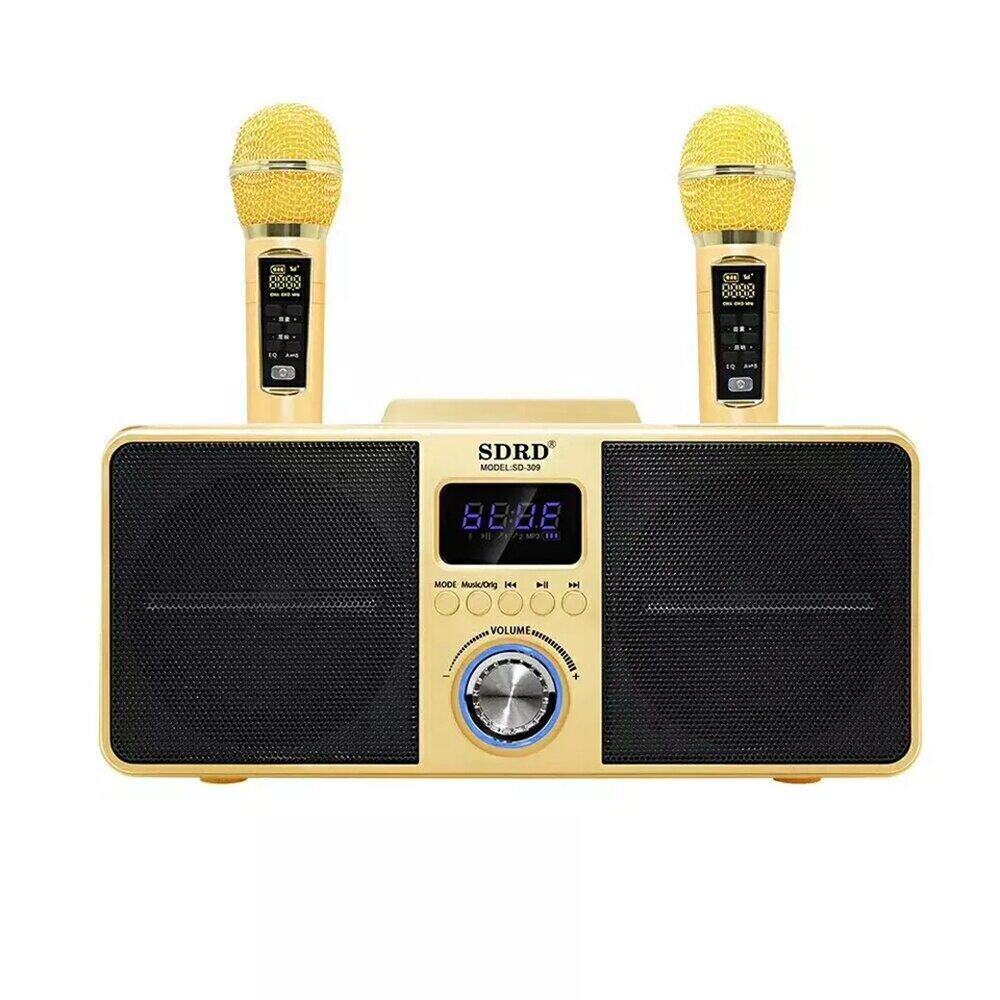 wireless microphone and speaker set