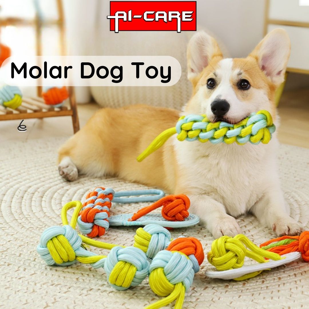 Dogs Knot Rope Toy