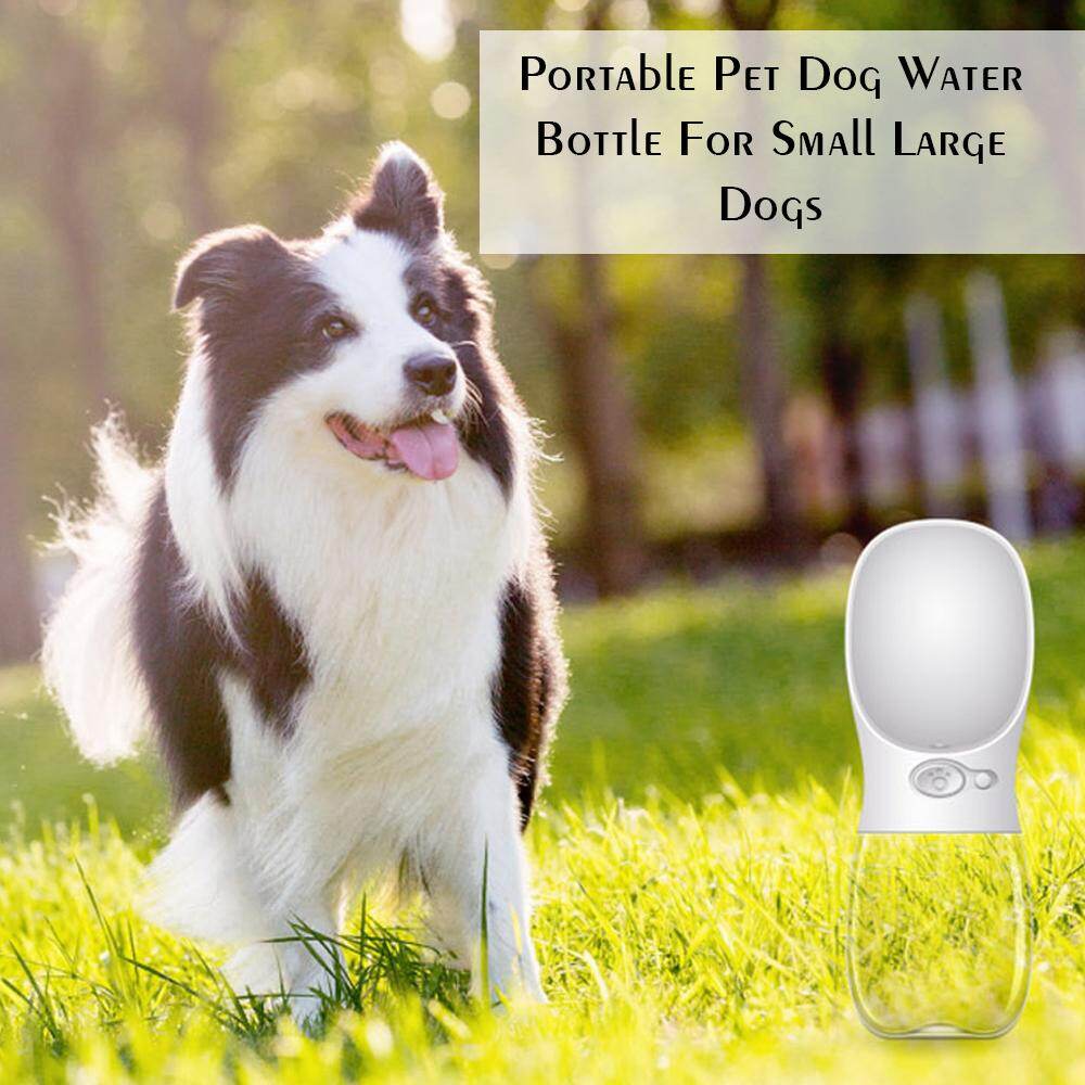 Portable Pet Dog Water Bottle For Small Large Dogs Travel Puppy