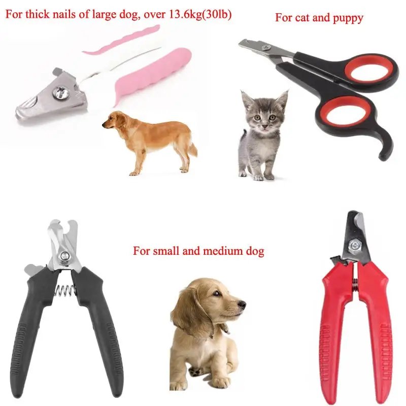 large dog grooming shears