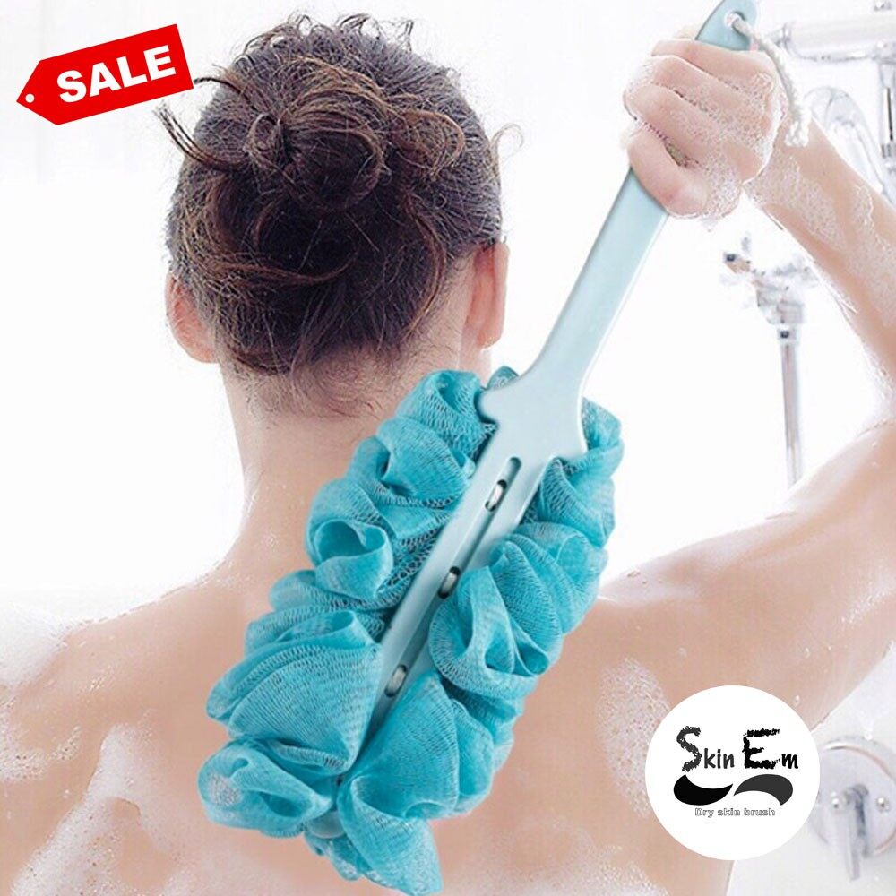 Káº¿t quáº£ hÃ¬nh áº£nh cho CÃ¢y chÃ lÆ°ng HÃn Quá»c