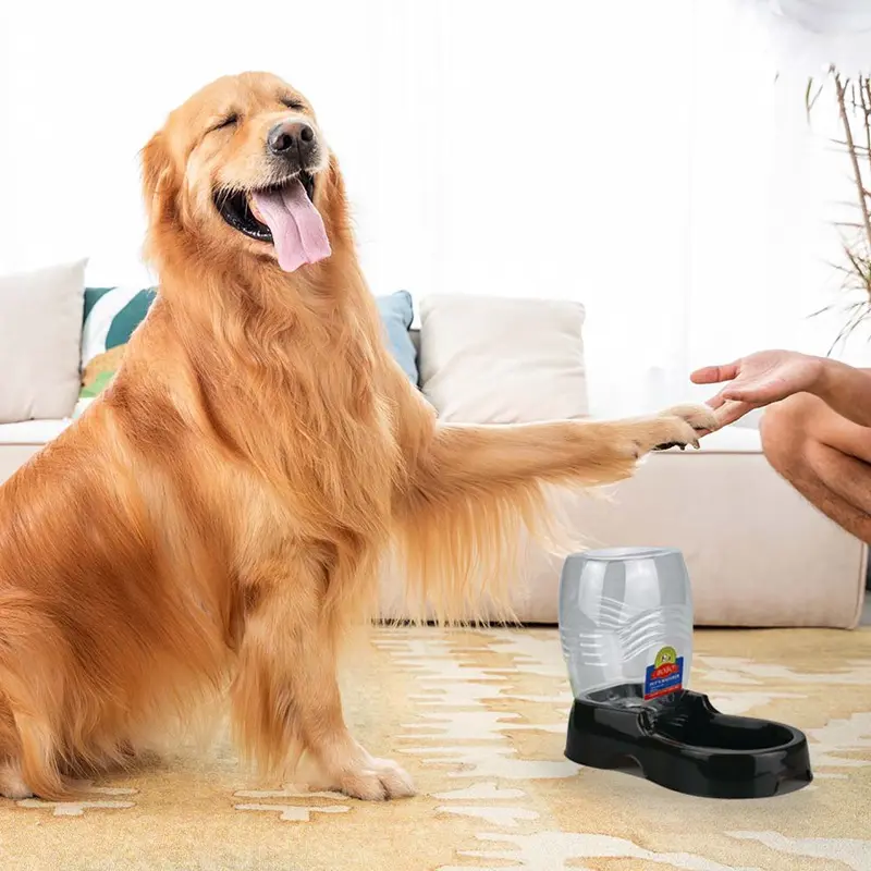 self feeding cat bowl