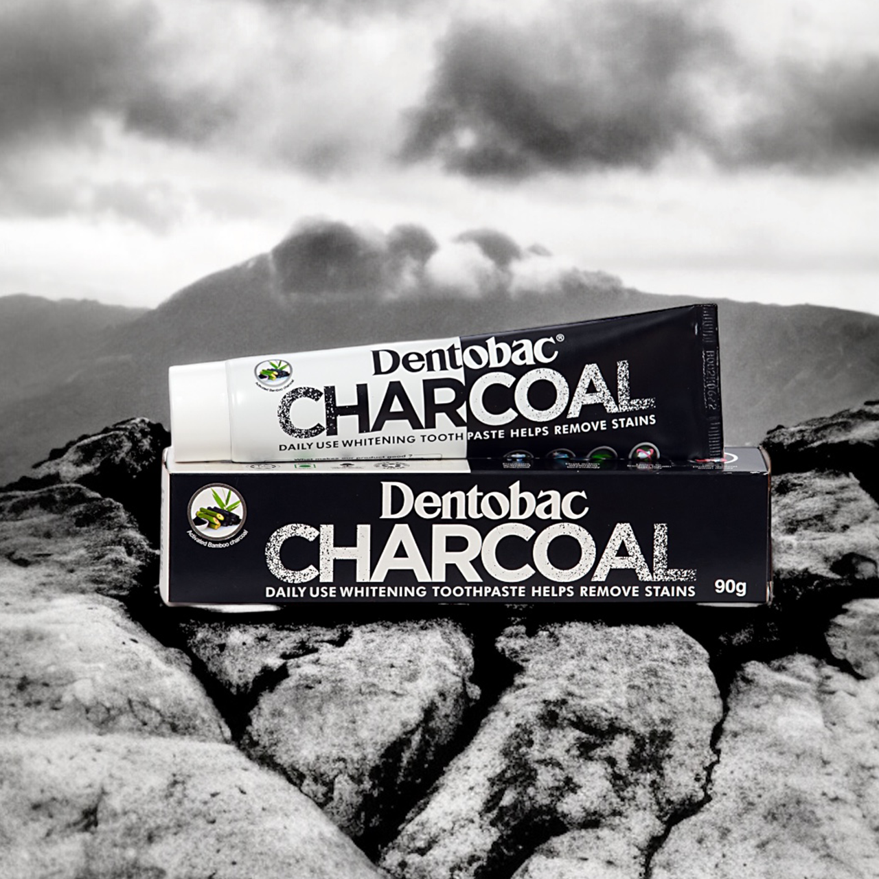 Dentobac Charcoal Toothpaste 90gm / Ubat Gigi Arang 90gm