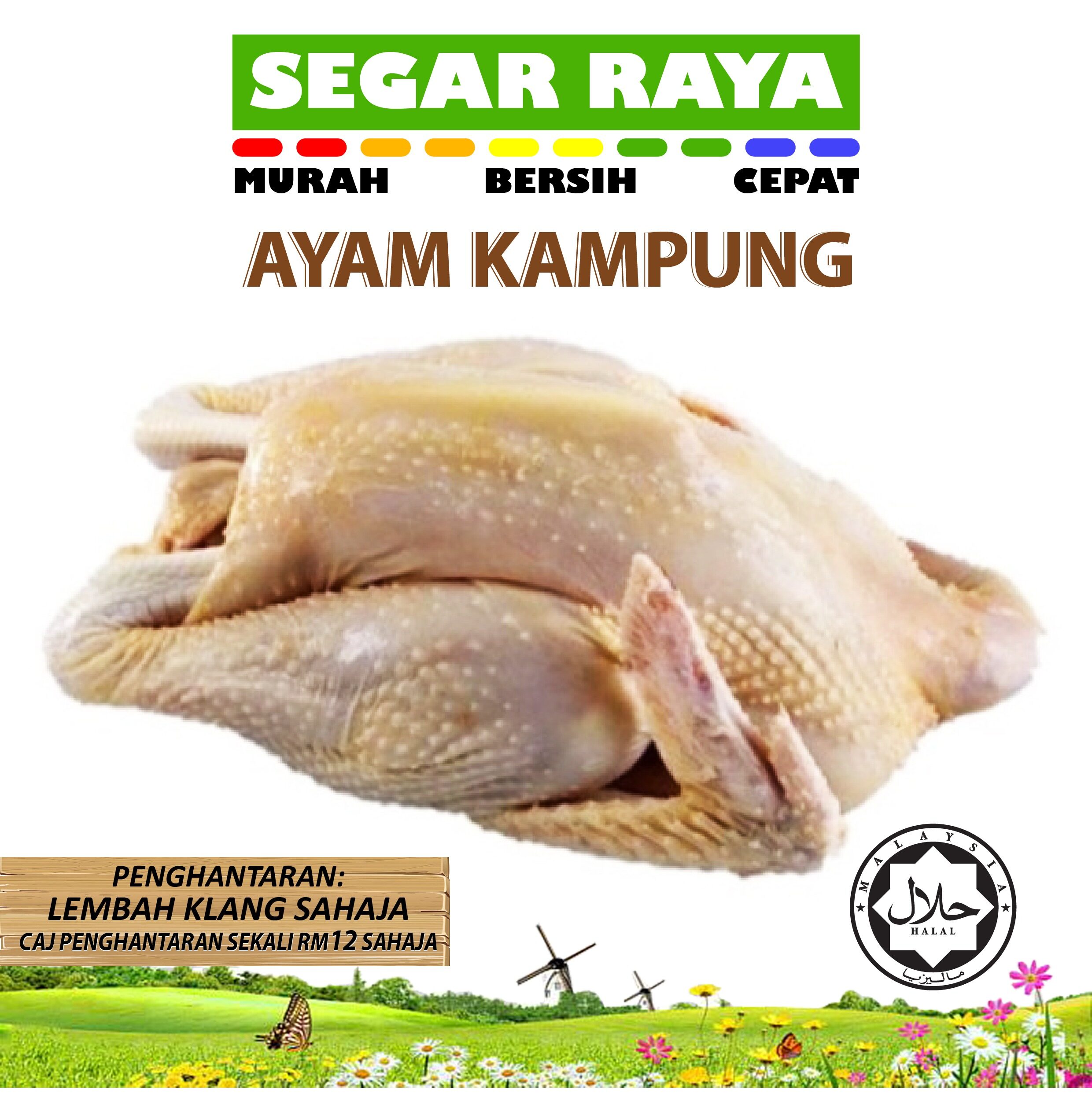 1kg 2 3pcs Halal Ayam Segar Peha Ayam Chicken Leg Quater Segar Raya Lazada