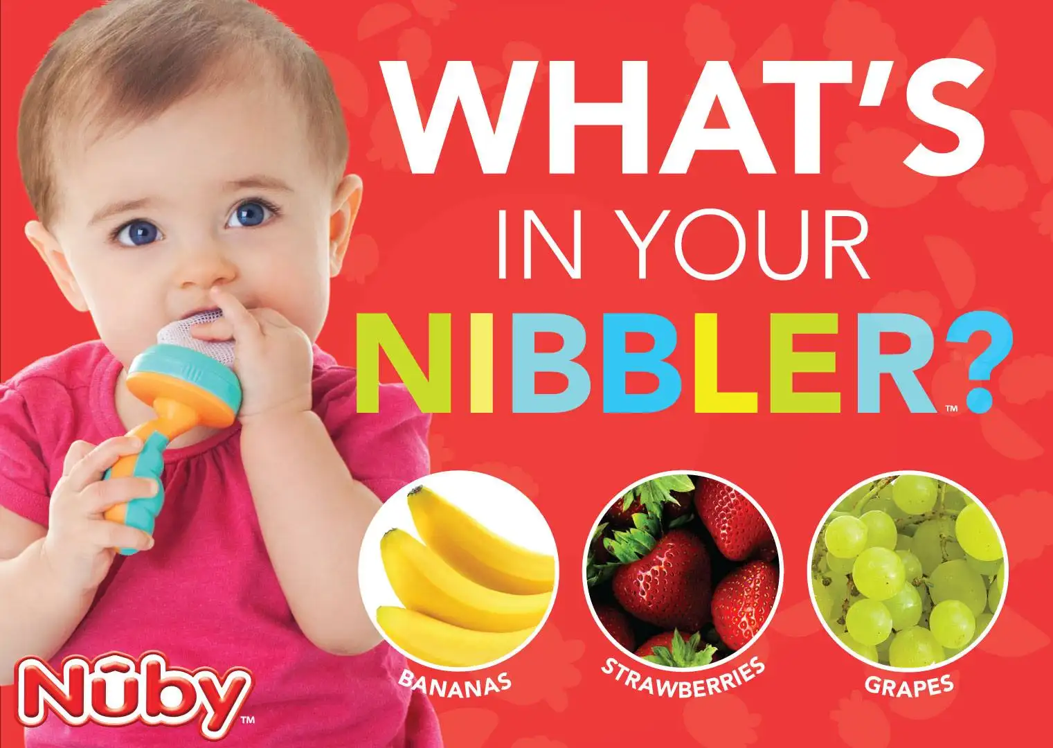 nuby fresh food feeder
