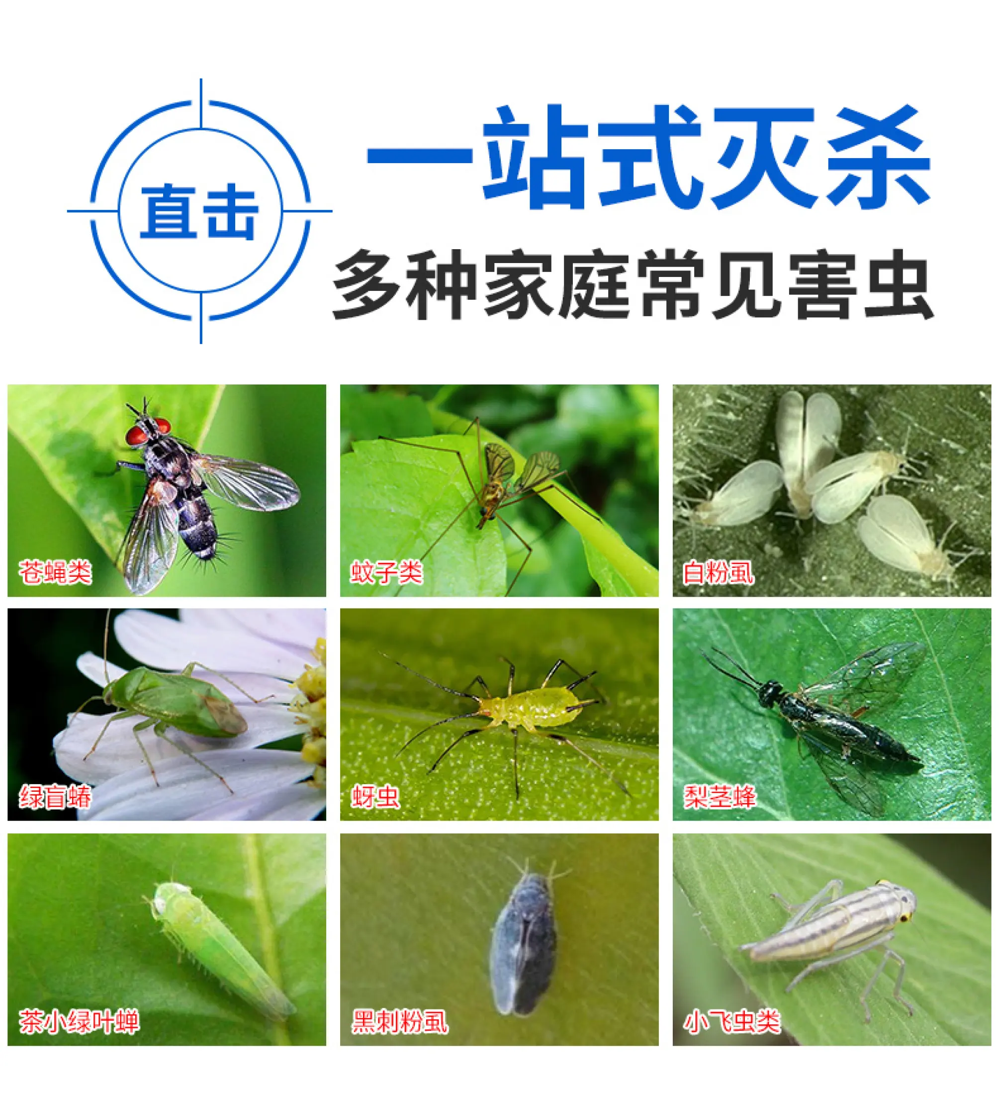 Flies Paste Small Insects Kill Paper Strong Sticky Fly Board Medicine Mosquito Trap Mosquito Trap Artifact Sweep Away The Household Powerful Booby Trap With Double Sided Paper Lazada Singapore