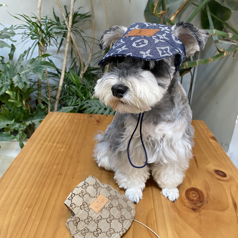 DY yêu thú cưng cổ điển Retro Mũ Lưỡi Trai chó shihtzu Poodle Teddy Mèo thương hiệu theo xu hướng thiết kế logo và mũ giản dị