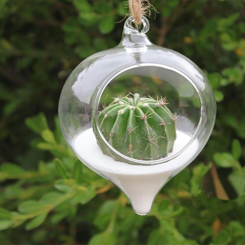 20pcs Clear Flower Hanging Vase Ball Plant Container Glass Home Wedding Decor