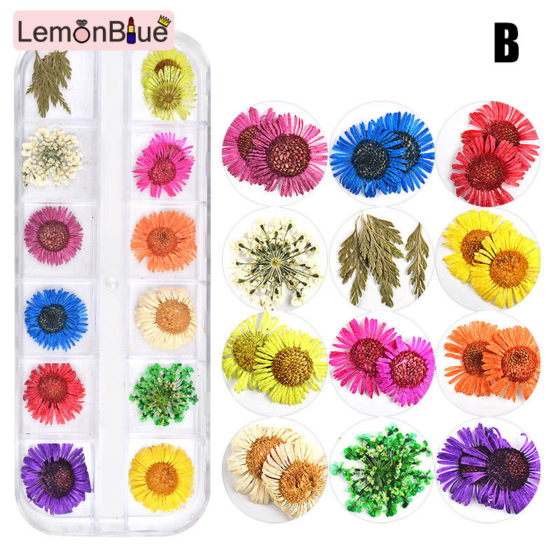 Gambar LemonBlue 12 Colors Nail Dried Flowers 3D Floral Dry Nail Decals Manicure Decoration