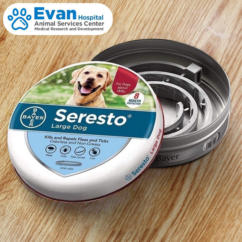 Bayer seresto chó và mèo deworming cổ áo đẩy lùi Bọ Chét Chấy ve muỗi