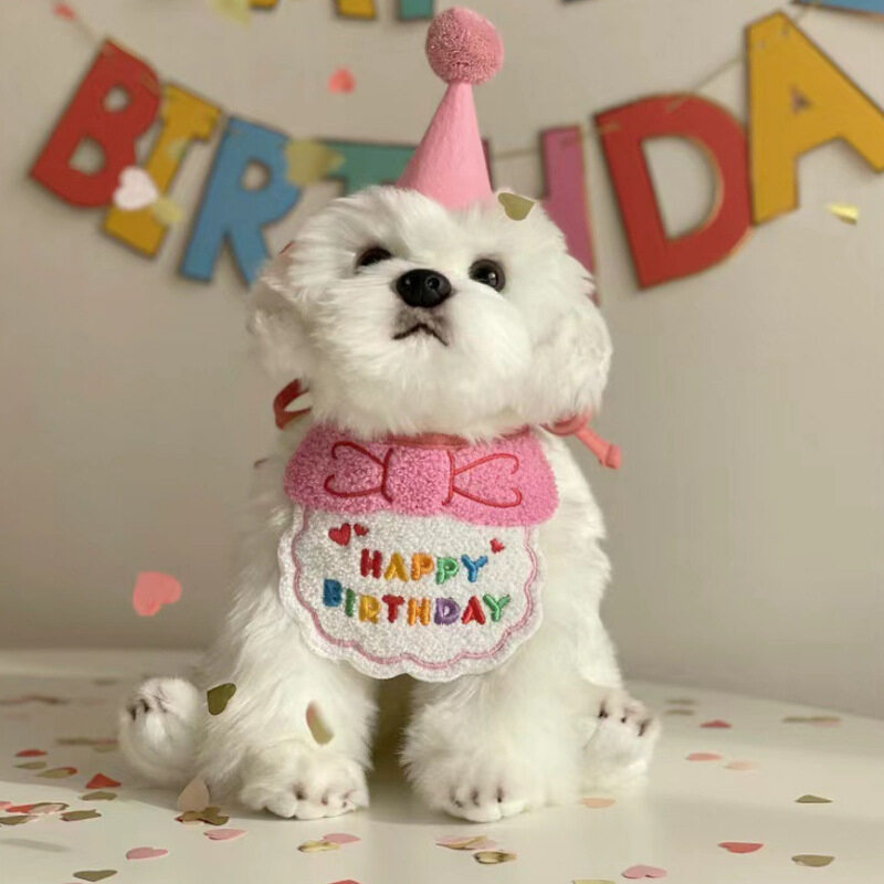 Cập nhật với hơn 80 về sinh nhật chó