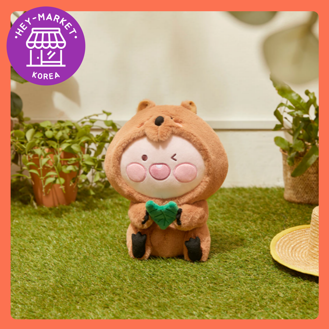 kakao friends apeach plush