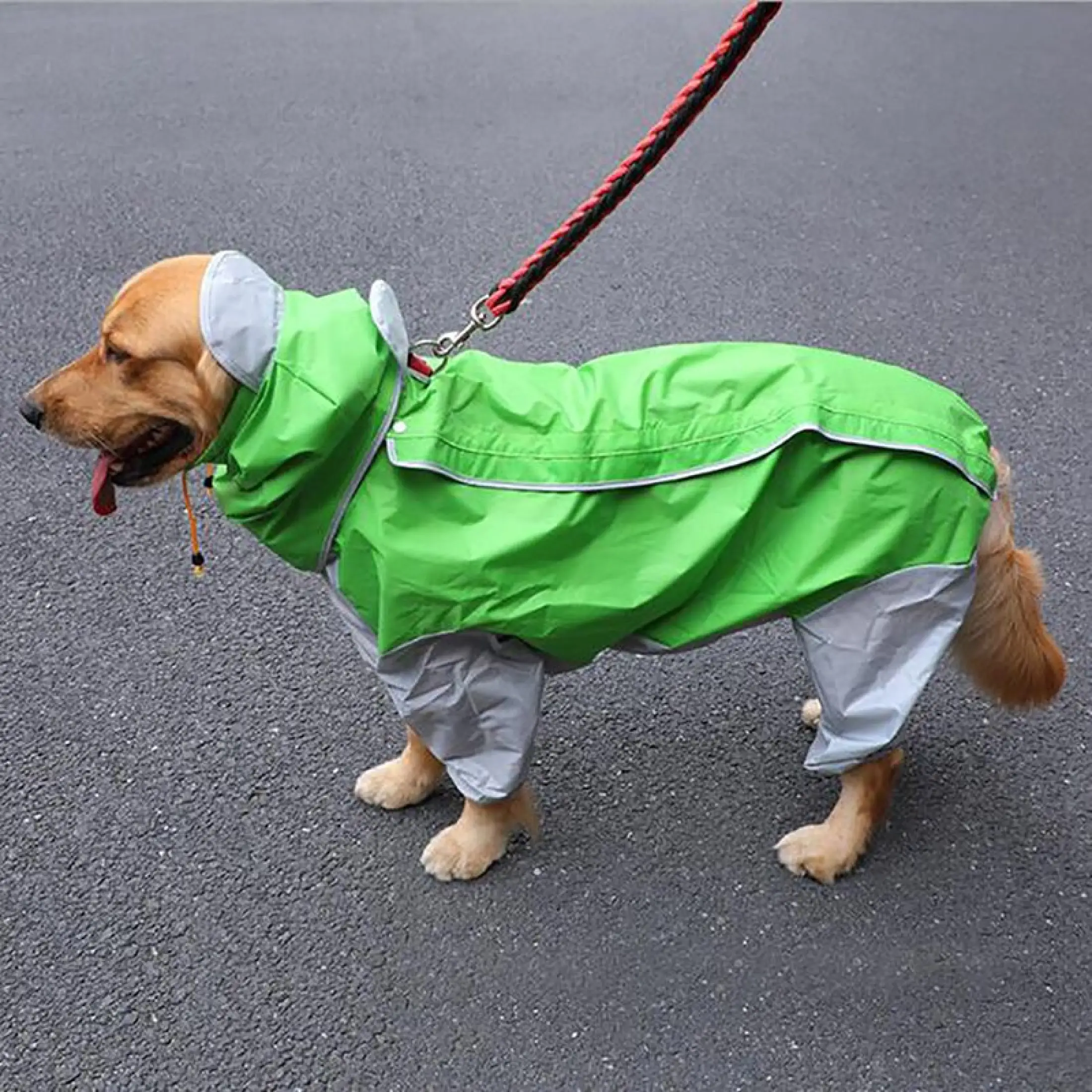 Pet dog raincoat Clearance