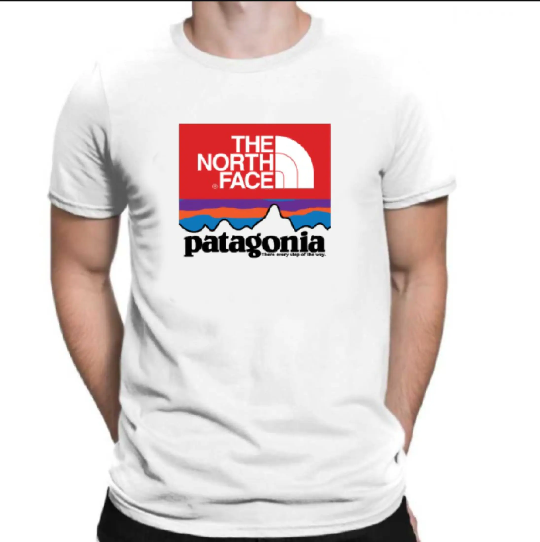 the north face patagonia