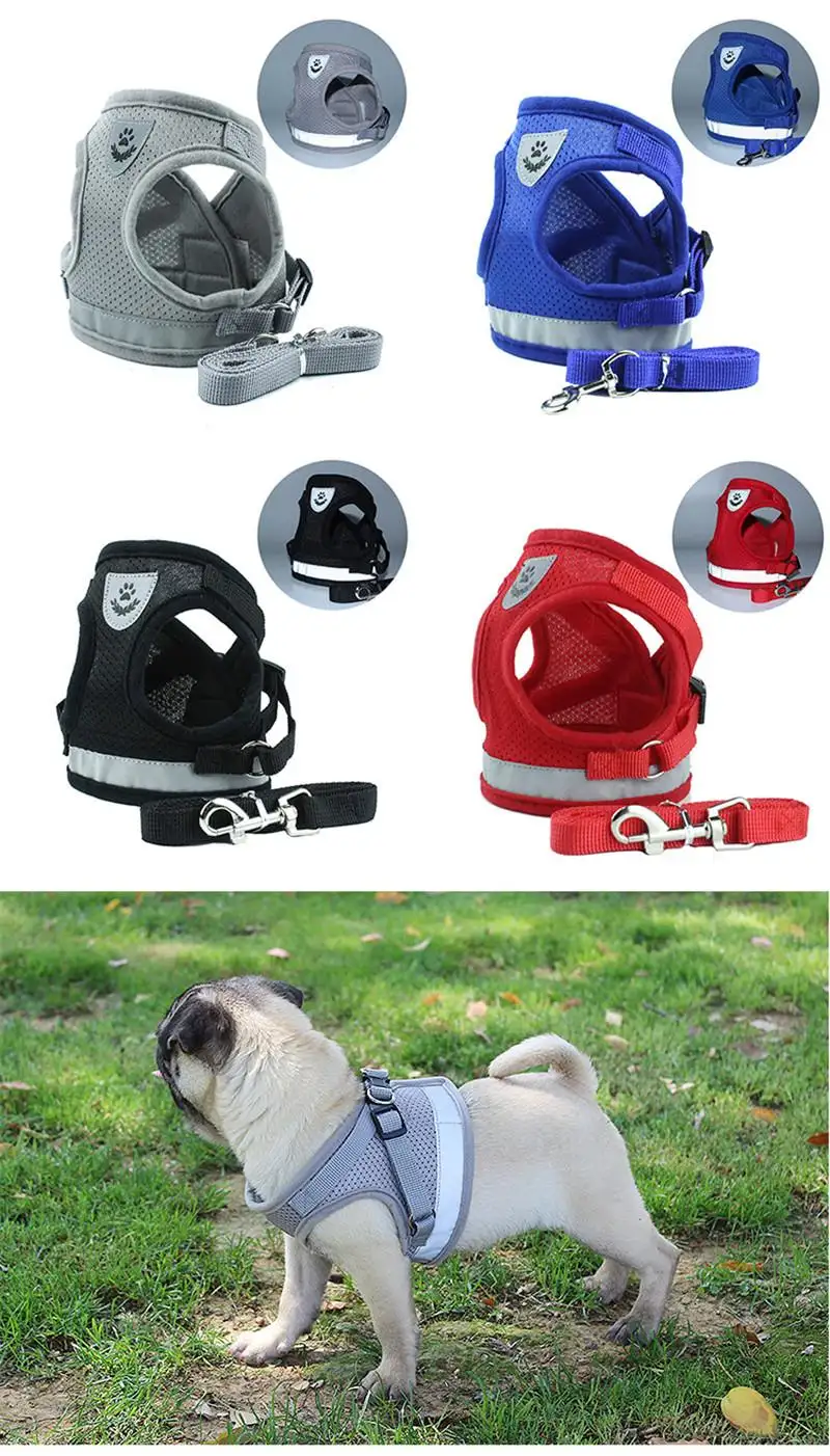 dog restraint jacket