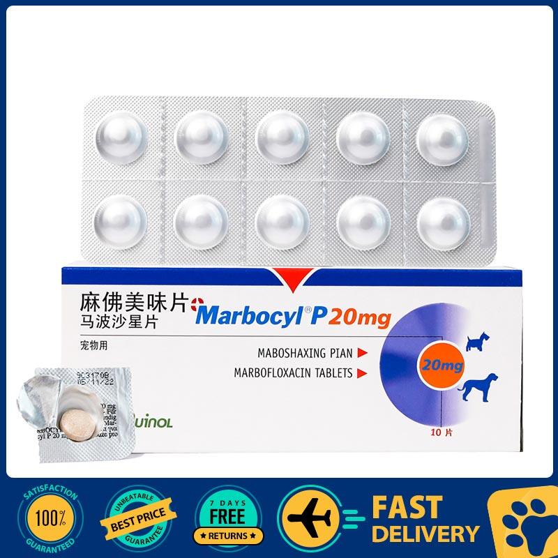 Marbocyl Pet sau phẫu thuật da pyoderma đường tiết niệu nhiễm trùng vết thương chống viêm