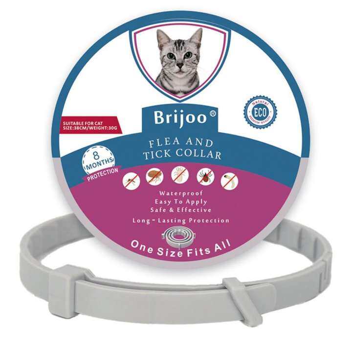 アイテムID:5183499の画像1枚目