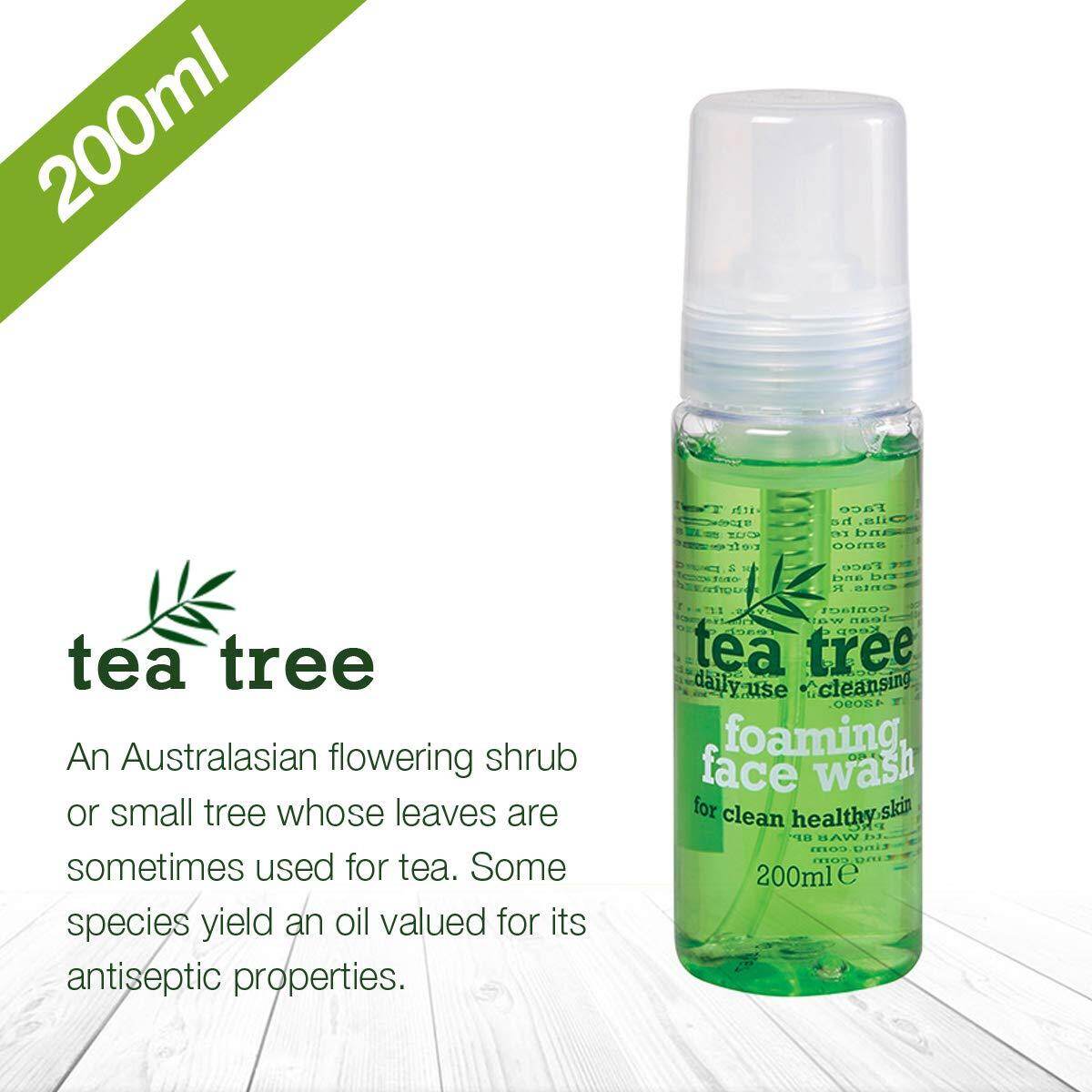 price of tea tree face wash