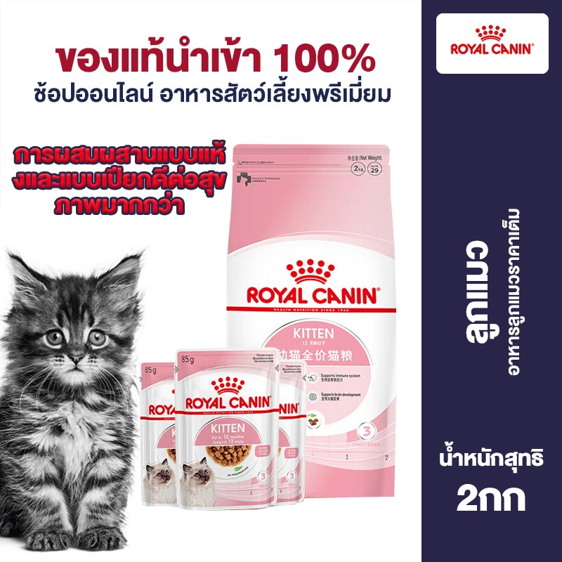Royal Canin Cat Food 2kg Kitten Wet Food and Dry Food Combination Pack For Kittens to Help Stimulate Immunity 2kg ราคา 1,450 บาท*ส่งฟรี