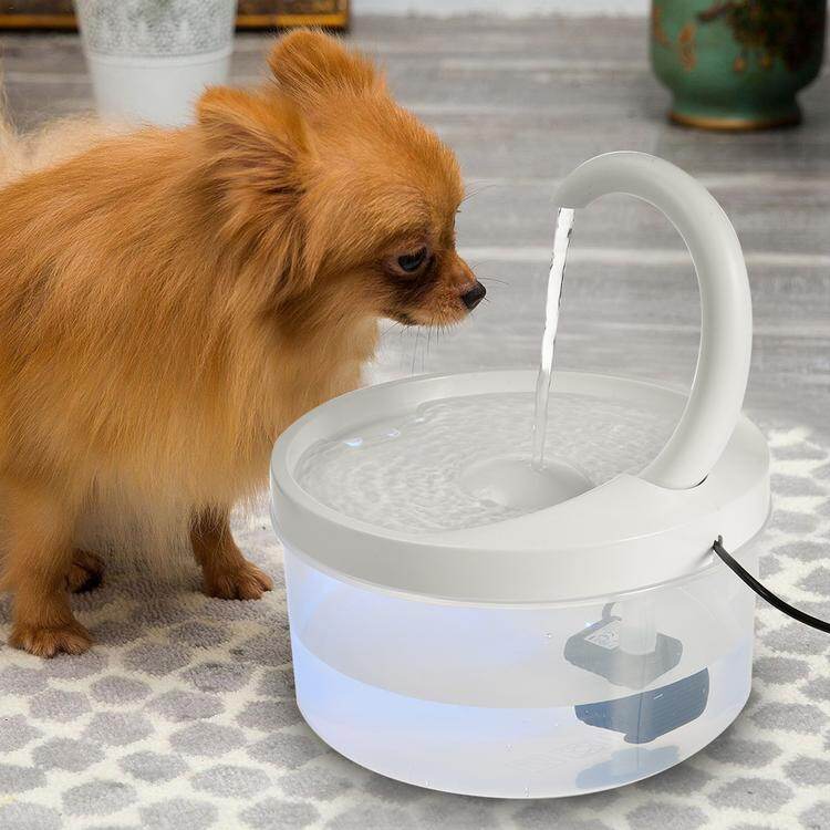 pet fit for life water fountain dispenser