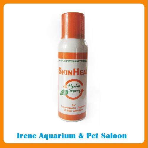 Irene aquarium on sale & pet saloon