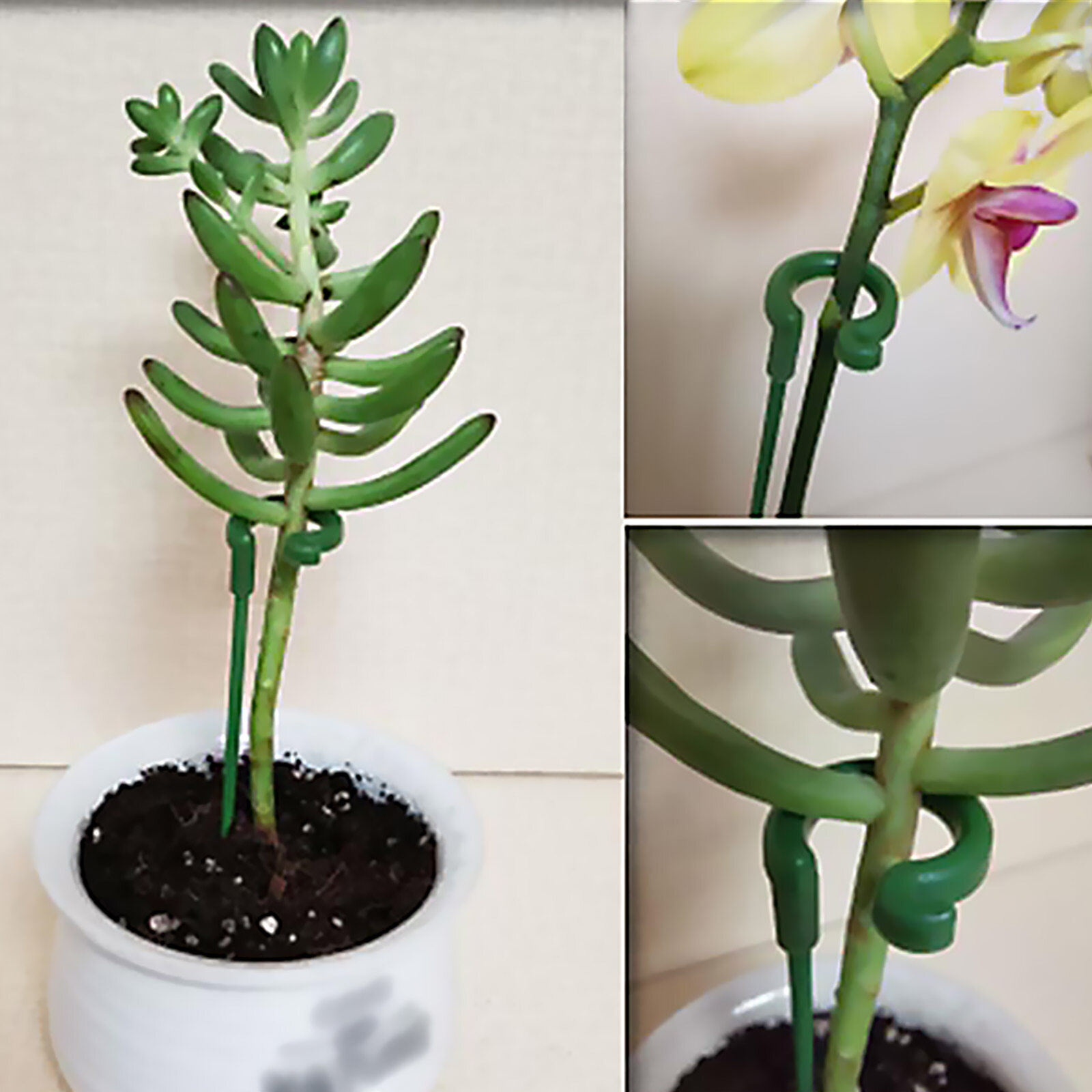 Mọng nước phalaenopsis khung lưới mắt cáo đặc biệt mô hình hoa thanh hỗ trợ cố định chống rơi lá bảo vệ khung